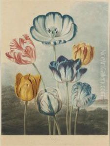 Tulips by George Philip Reinagle
