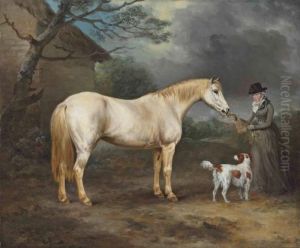 Mrs. Thomas Hawkins Of Trewithen, Cornwall With Her Connemara Ponyand A Spaniel