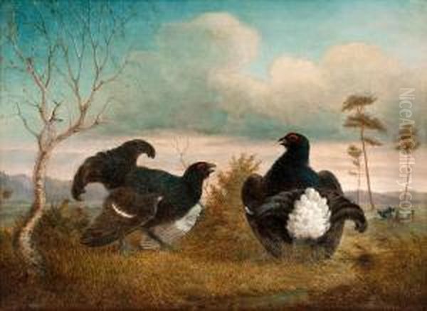 Mating - view 1