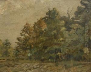 Landscape Landscape