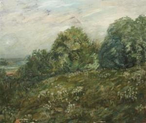 Landscape - view 1