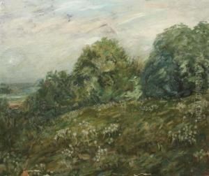 Landscape Landscape