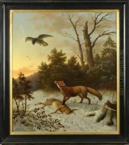 Renard, Lapin Et Aigle