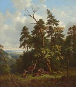 Rotwild Auf Einer Waldlichtung In Vorgebirgslandschaft. by Wilhelm Reinhardt