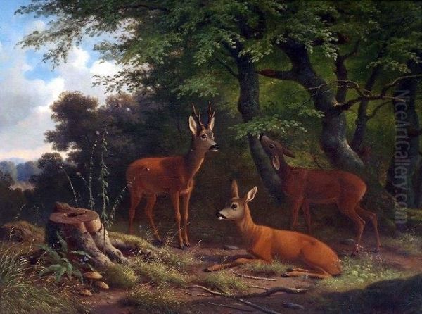 Deer In A Forest Clearing - view 1