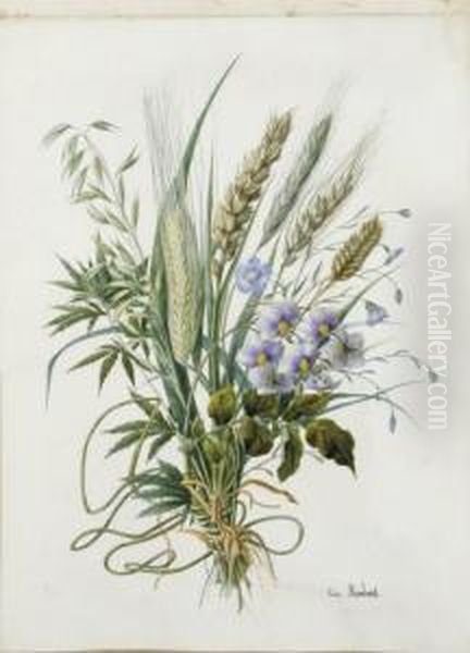 Bouquet De Ble, D'escourgeon Et De Fleurs Bleues - view 1