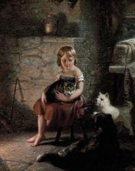Kitty's Pets - view 1
