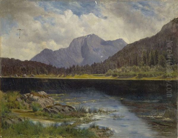 Gebirgssee - view 1