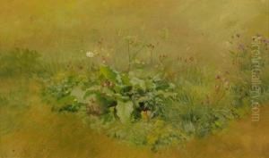 Kleines Wiesenstuck by Friedrich Philipp Reinhold
