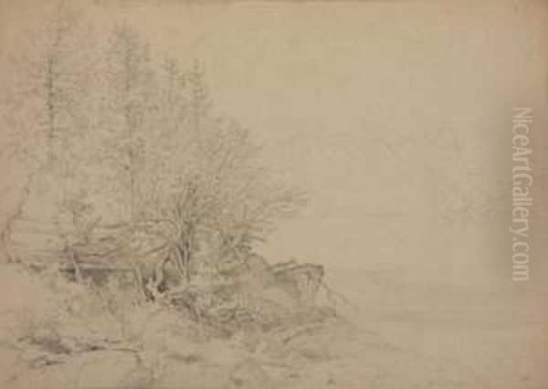 Alpine Lake - view 1