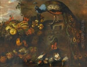 Fruits And Hunting Still Life With Peacock