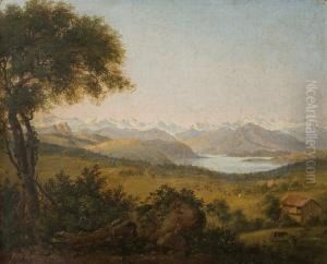 Picos Nevados