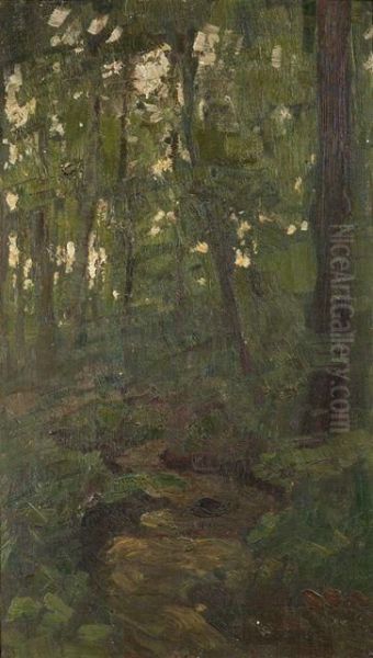 Waldinneres - view 1
