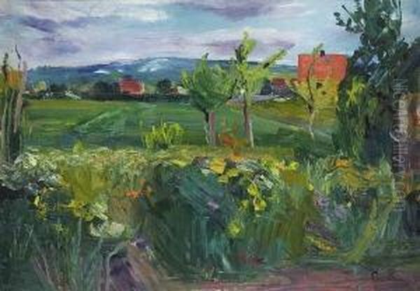 Bauerngarten. - view 1