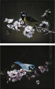 Blue Tit On A Branch Of Plum Tree In Bloom; Great Tit On A Branch Of Cherry Tree by Pierre Etienne Remillieux