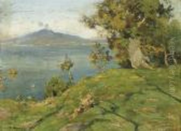 Vesuvius - view 1