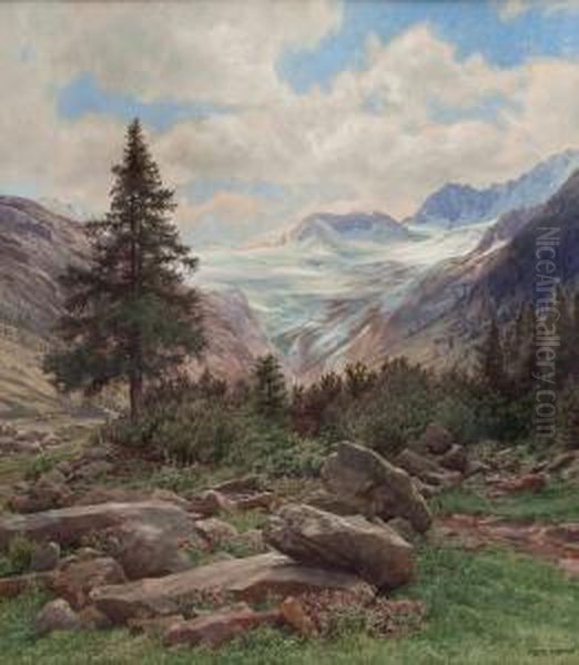 Der Schlegeisgrund - view 1