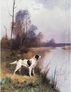 A Setter In An Extensive Landscape A Setter In An Extensive Landscape