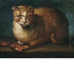 Gatto Accovacciato