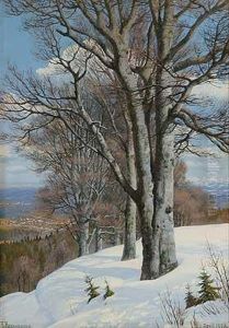 Blick Von Hohenpreissenberg Nach Weilheim by Rudolf Reschreiter