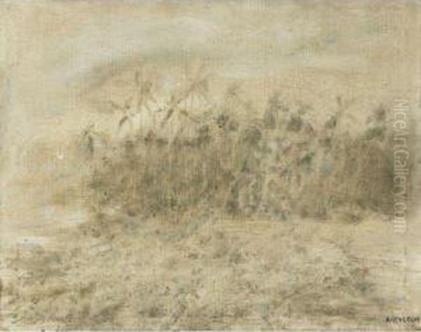 Paisaje - view 1