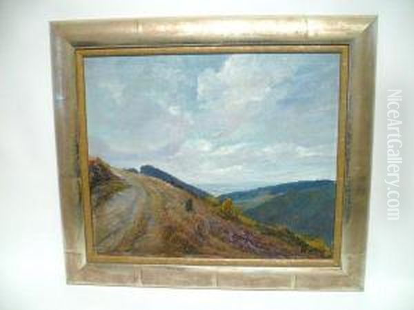 Paysage - view 1