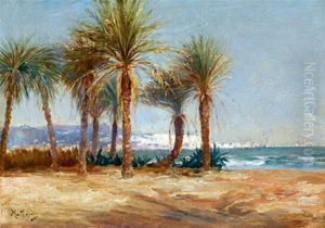 La Baie D'alger Vue Du Jardin D'essai (plage Des Sablettes)