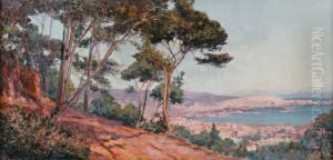 Baie D'alger, Vue Des Hauteurs De La Villa Abd-el-tif