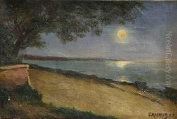 Paysage Au Crepuscule - view 1