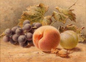 Still Life Study Of Grapes by Frederick George Reynolds