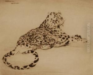 Restingleopard by Warwick Reynolds