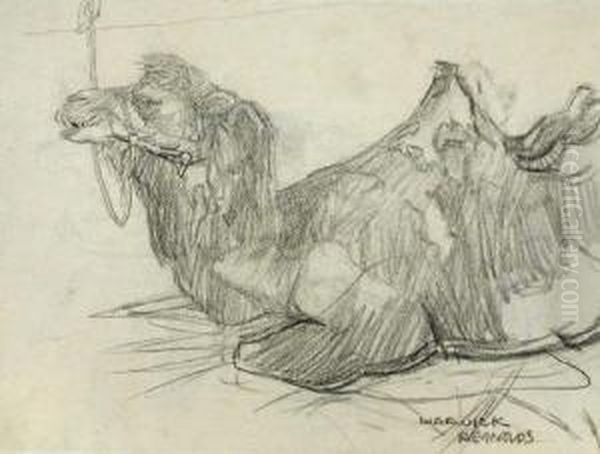 Study Of Acamel - view 1