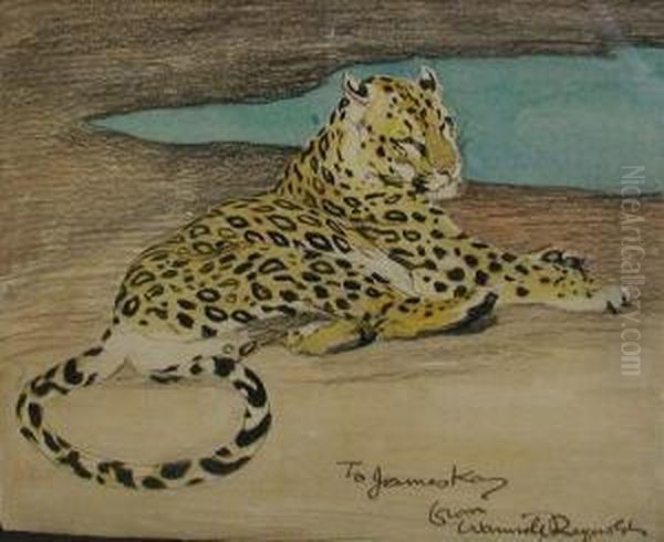 Leopard Resting - view 1