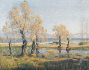 Herbstliche Uferpartie Am Genfersee by Louis Rheiner