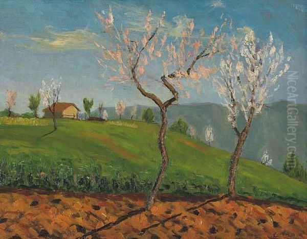Paesaggio Primaverile - view 1