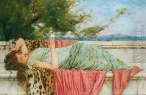 Reverie by Oliver Rhys