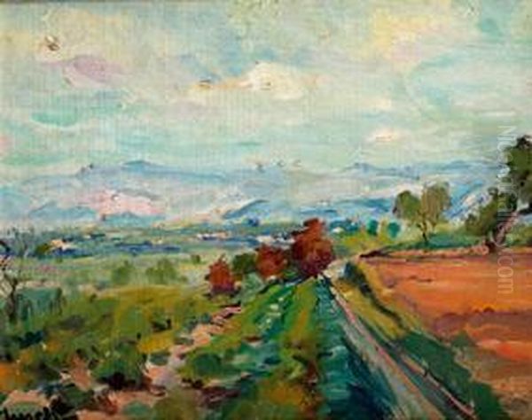 Paisaje - view 1