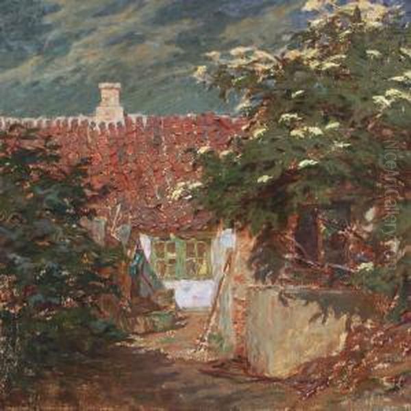 A Garden With Trees In Blossom - view 1