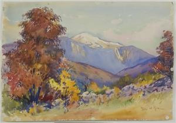 Autumn Maples And Mt.washington - view 1