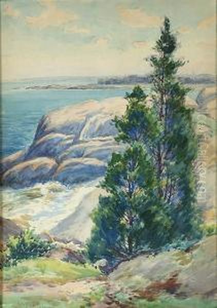Rocky Coastline With Two Evergreens In The Foreground. - view 1