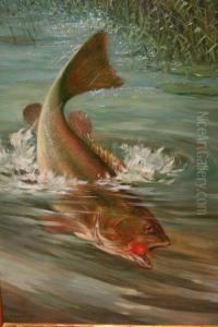 Salmon