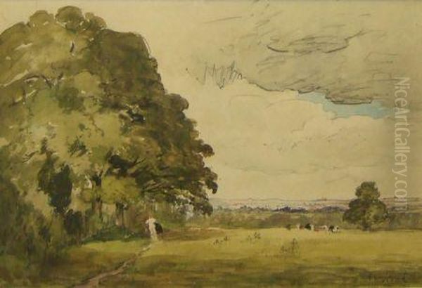 Figure In Meadow With Cattle Beyond - view 1