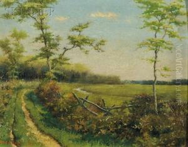 Spring Landscape - view 1