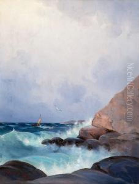 Waves On The Shore - view 1