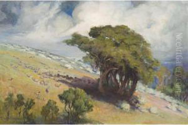Hillside, Bacchus Marsh - view 1