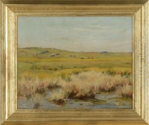 North Shore Landscape