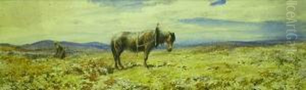 Plough Horse And Farmer On Moorland - view 1