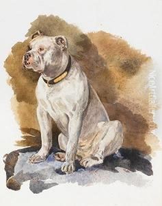 A Portrait Of An English Bull Terrier by John Isaac Richardson