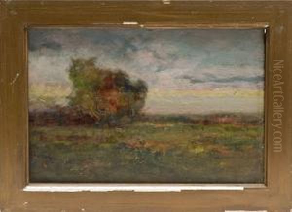 Sunset Meadow - view 1
