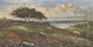 Coastal View With Windswept Pine, Autumnfoliage